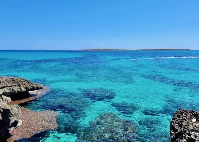 Olivia Dom wakacyjny *